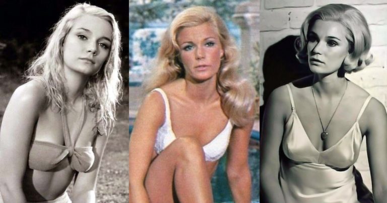 51 Sexy Yvette Mimieux Boobs Pictures Will Expedite An Enormous Smile On Your Face