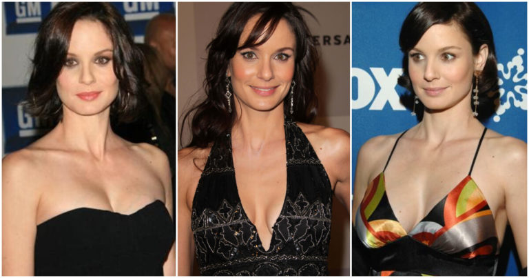 49 Hot Pictures Of Sarah Wayne Callies Will Prove That She Is One Of The Hottest Women Alive And She Is The Hottest Woman Out There