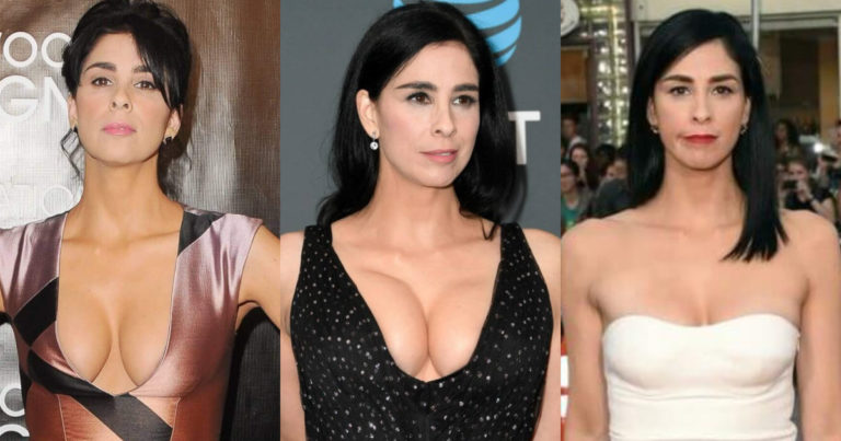 49 Sexy Sarah Silverman Boobs Pictures Which Are Simply Astounding