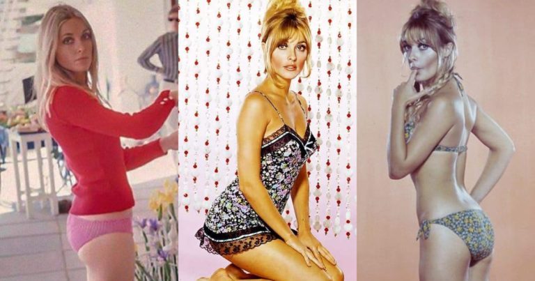 51 Hottest Sharon Tate Big Butt Pictures Are Windows Into Heaven