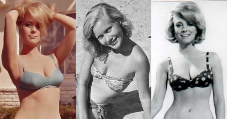 51 Sexy Inger Stevens Boobs Pictures Which Will Make You Swelter All Over