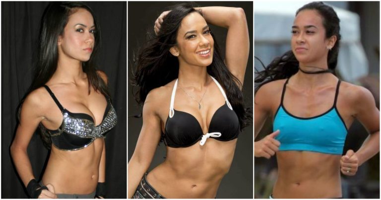 49 Sexy AJ Lee Boobs Pictures Which Are Stunningly Ravishing