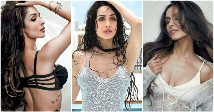 49 Hot Pictures Of Malaika Arora Will Make You Stare The Monitor For Hours
