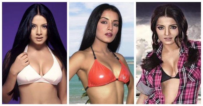 51 Celina Jaitly Nude Pictures Uncover Her Grandiose And Appealing Body