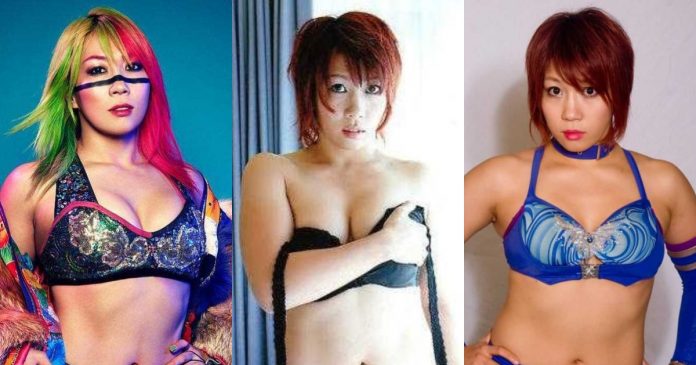51 Hottest Asuka Bikini Pictures Are Excessively Damn Engaging