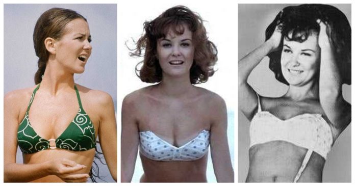 42 Shelley Fabares Nude Pictures Can Make You Submit To Her Glitzy Looks
